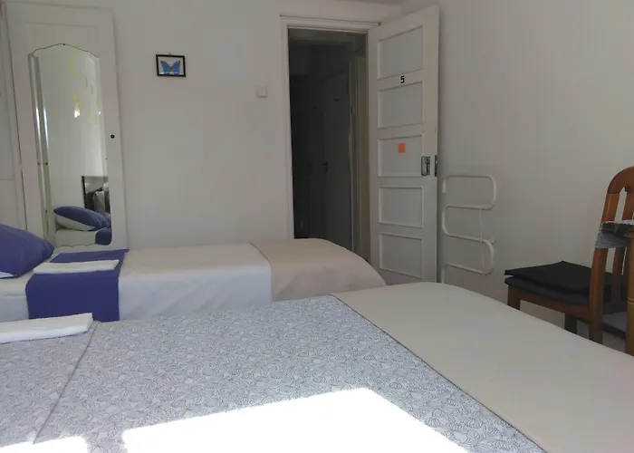 Fisher 46 ゲストハウス