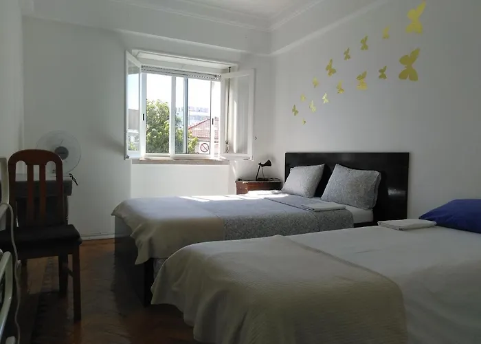 Fisher 46 ゲストハウス